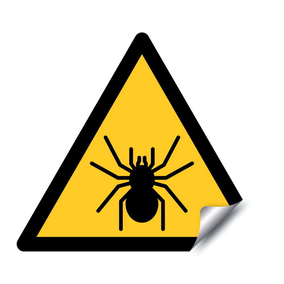 Warnspinne
