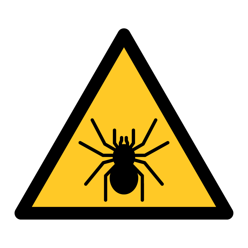 Warnspinne