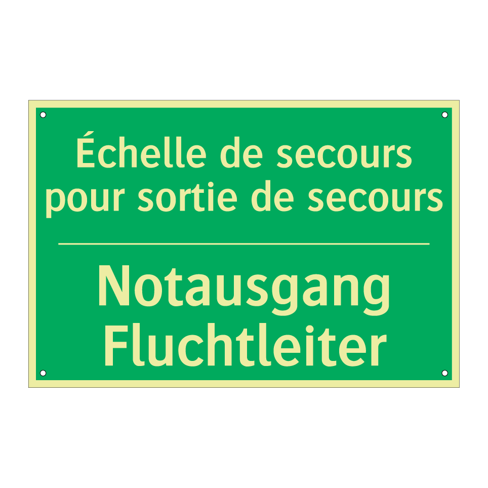 Notausgang Fluchtleiter - Échelle de secours pour sortie  /.../