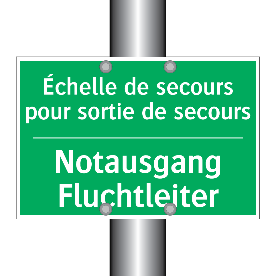 Notausgang Fluchtleiter - Échelle de secours pour sortie  /.../