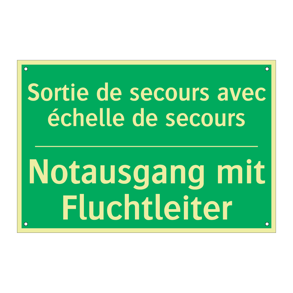 Notausgang mit Fluchtleiter - Sortie de secours avec échelle  /.../