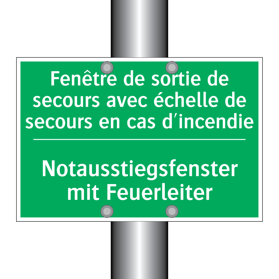 Notausstiegsfenster mit Feuerleiter /.../ - Fenêtre de sortie de secours avec  /.../