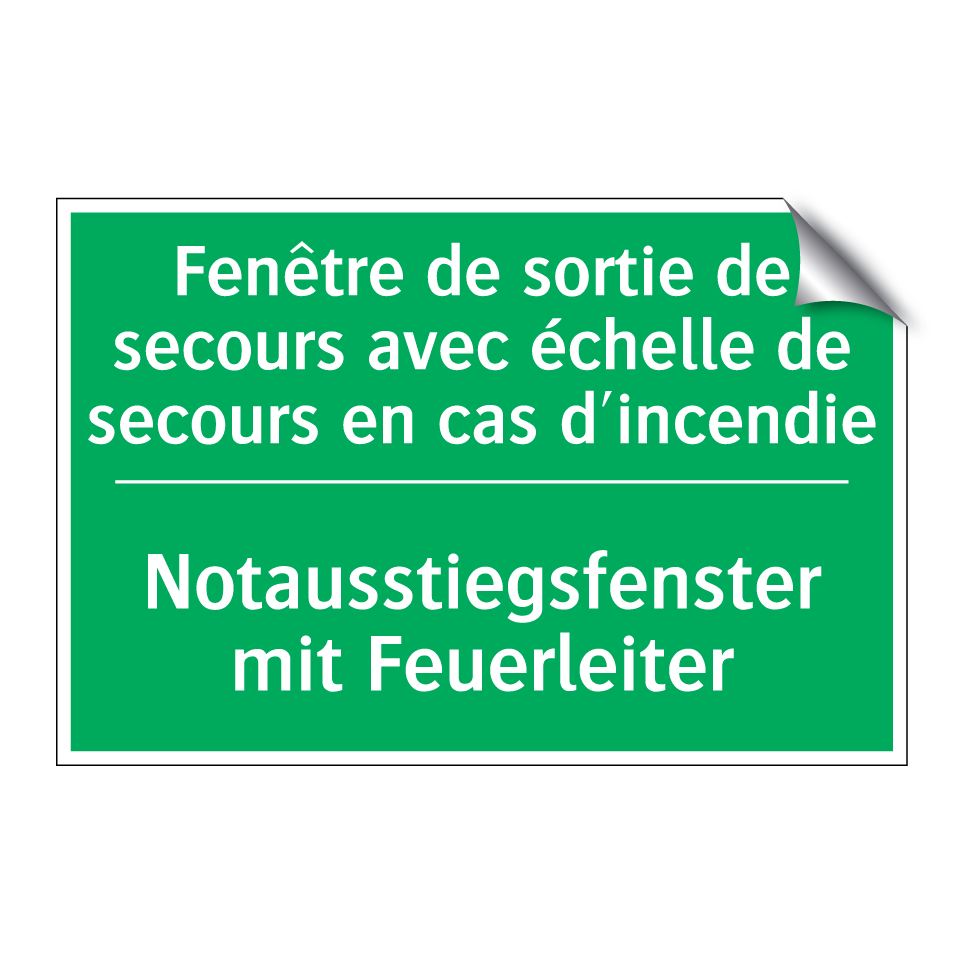 Notausstiegsfenster mit Feuerleiter /.../ - Fenêtre de sortie de secours avec  /.../