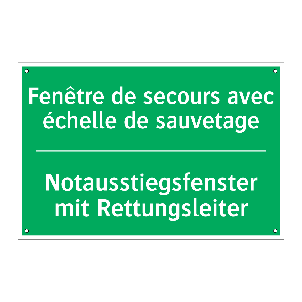 Notausstiegsfenster mit Rettungsleiter /.../ - Fenêtre de secours avec échelle  /.../