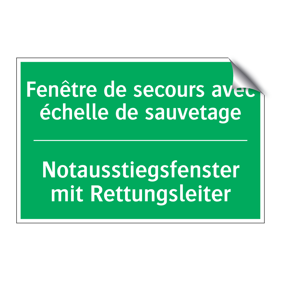 Notausstiegsfenster mit Rettungsleiter /.../ - Fenêtre de secours avec échelle  /.../