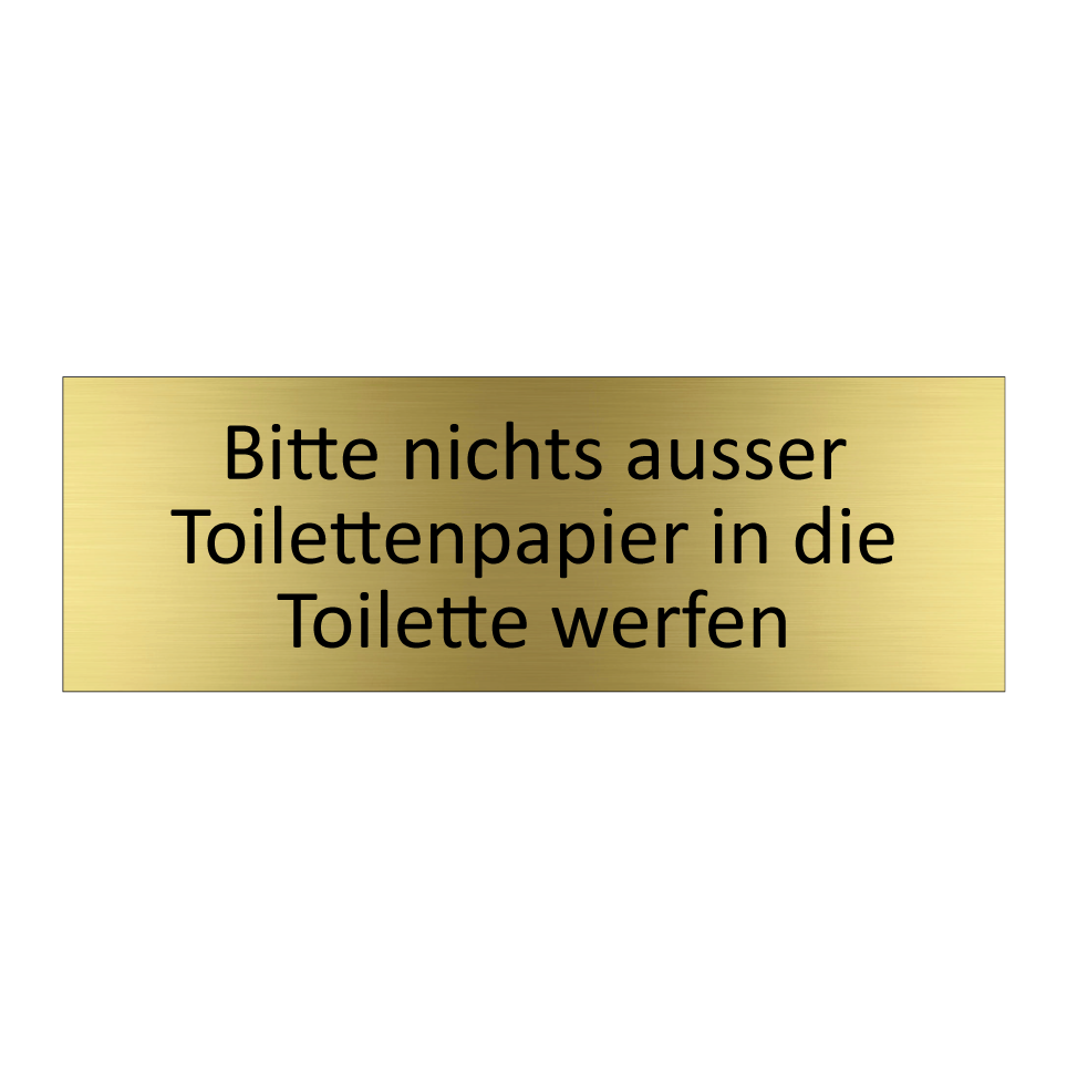 Bitte nichts ausser Toilettenpapier in die Toilette werfen.