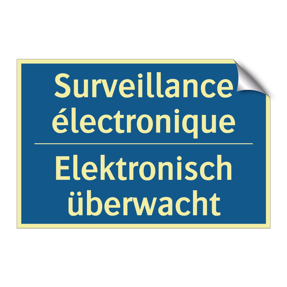 Elektronisch überwacht - Surveillance électronique