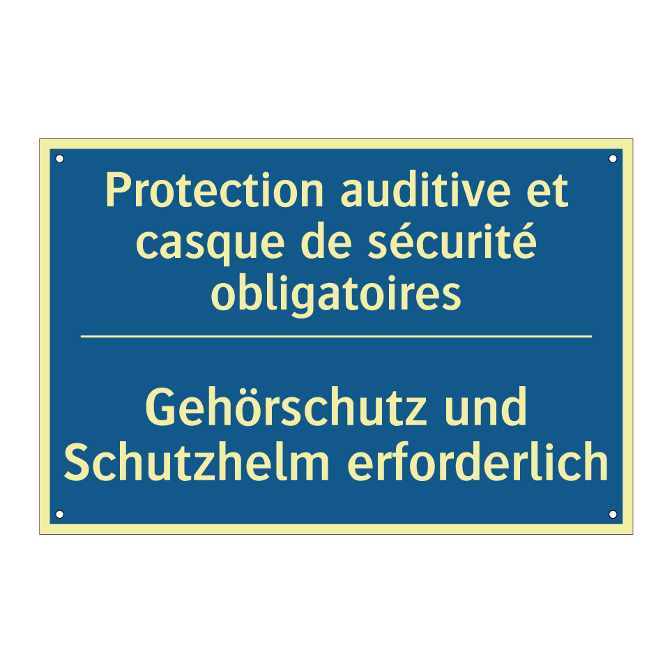 Gehörschutz und Schutzhelm erforderlich /.../ - Protection auditive et casque  /.../