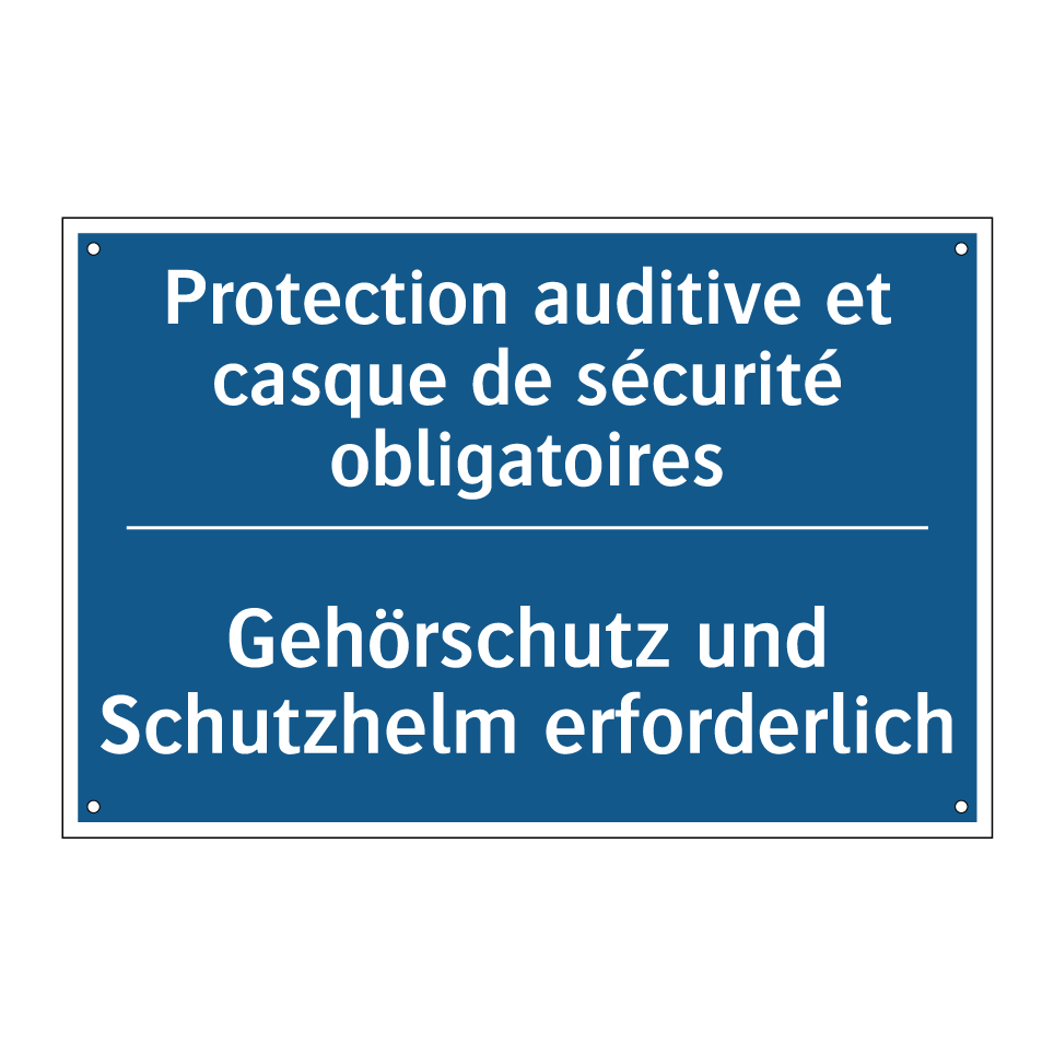 Gehörschutz und Schutzhelm erforderlich /.../ - Protection auditive et casque  /.../