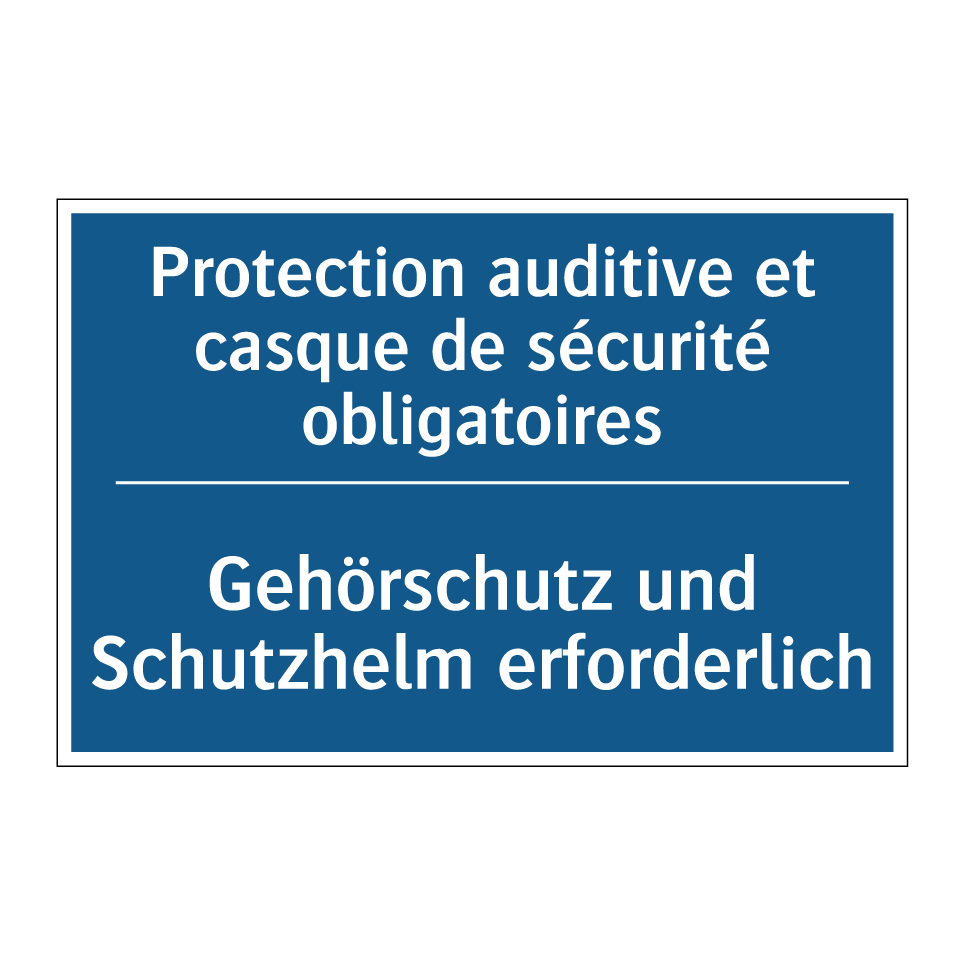 Gehörschutz und Schutzhelm erforderlich /.../ - Protection auditive et casque  /.../