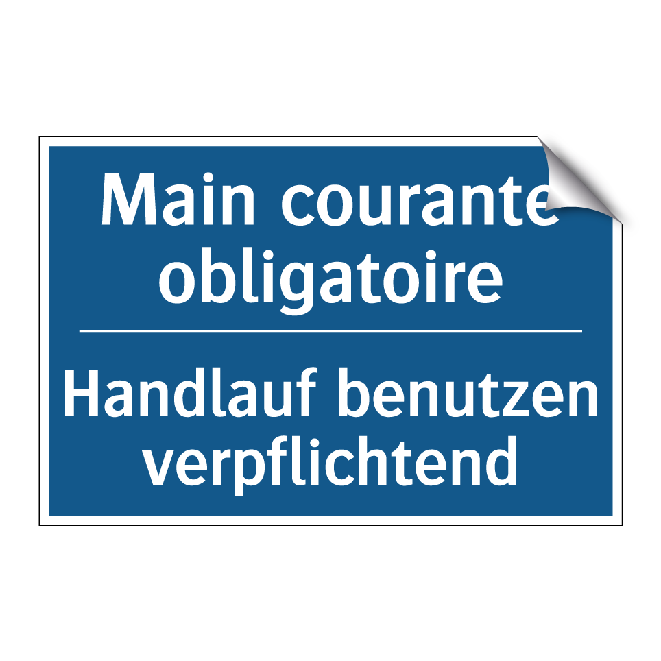 Handlauf benutzen verpflichtend /.../ - Main courante obligatoire