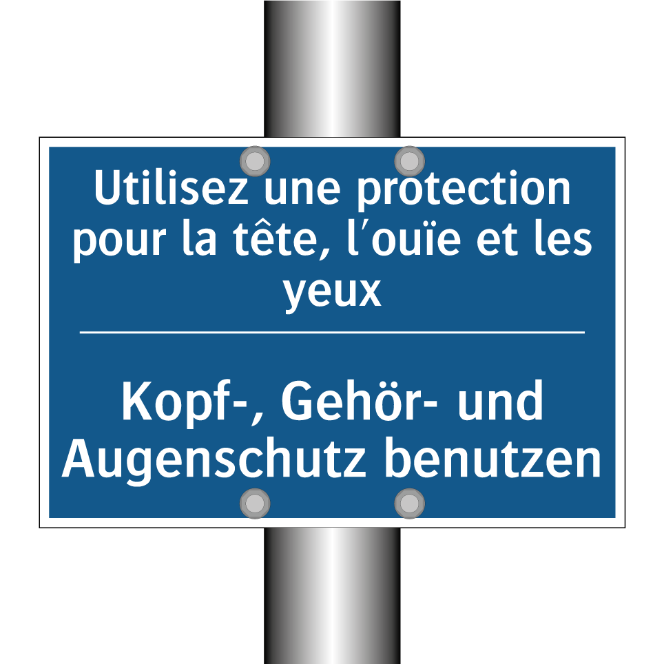 Kopf-, Gehör- und Augenschutz  /.../ - Utilisez une protection pour la  /.../