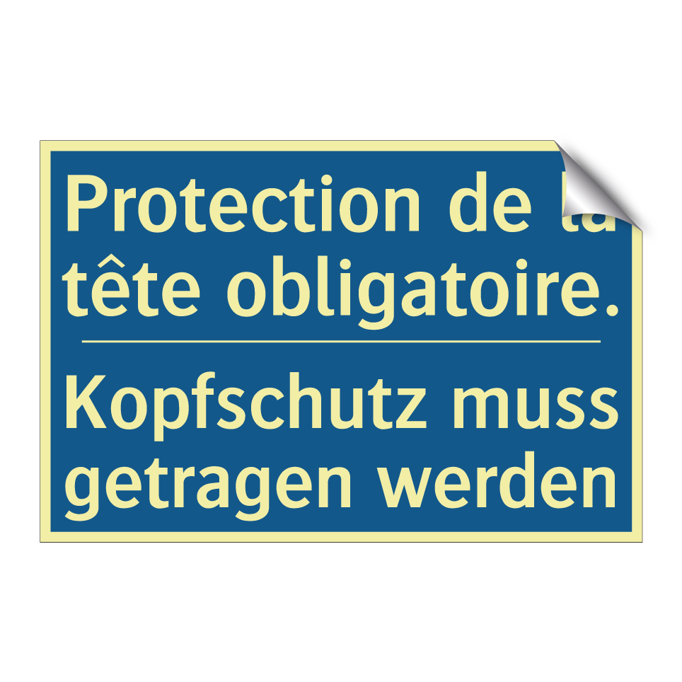 Kopfschutz muss getragen werden /.../ - Protection de la tête obligatoire. /.../