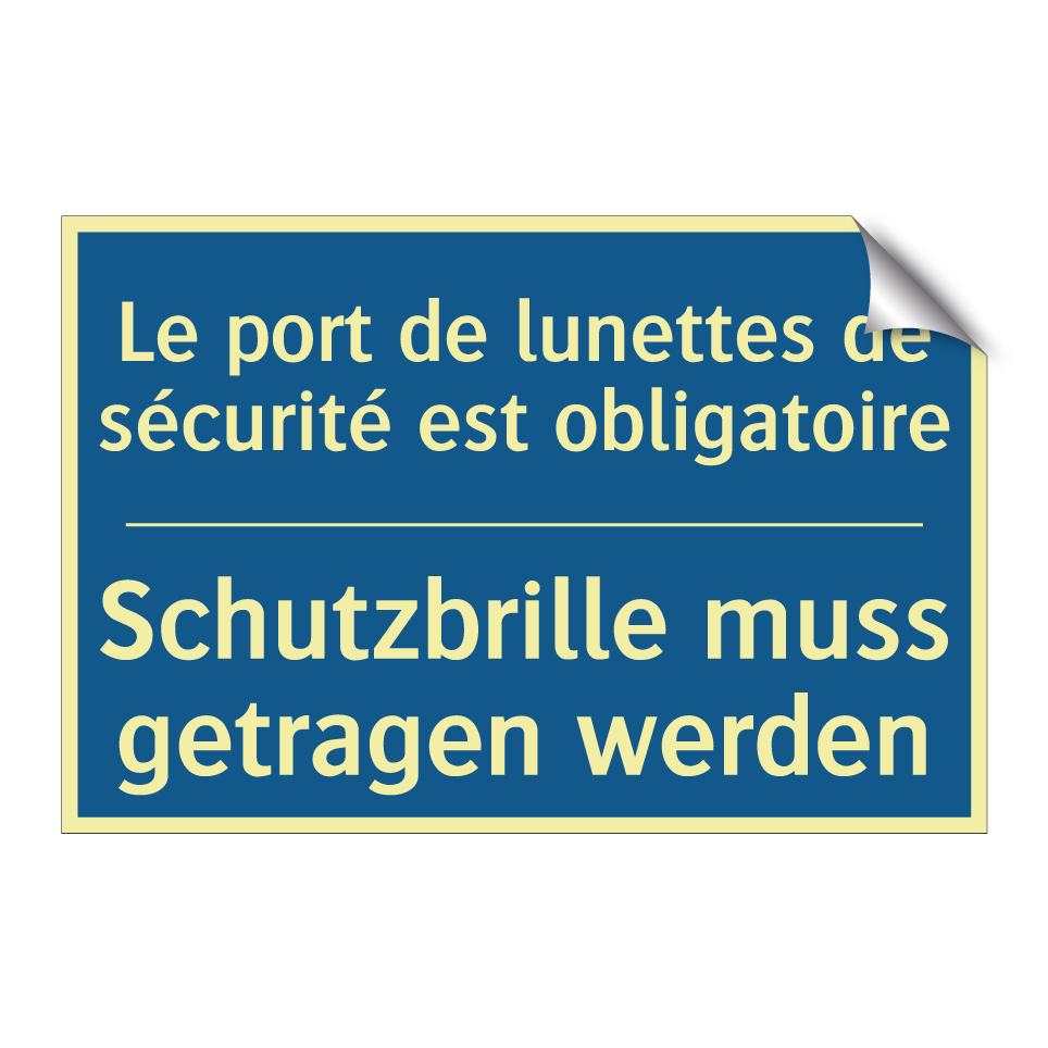 Schutzbrille muss getragen werden /.../ - Le port de lunettes de sécurité  /.../