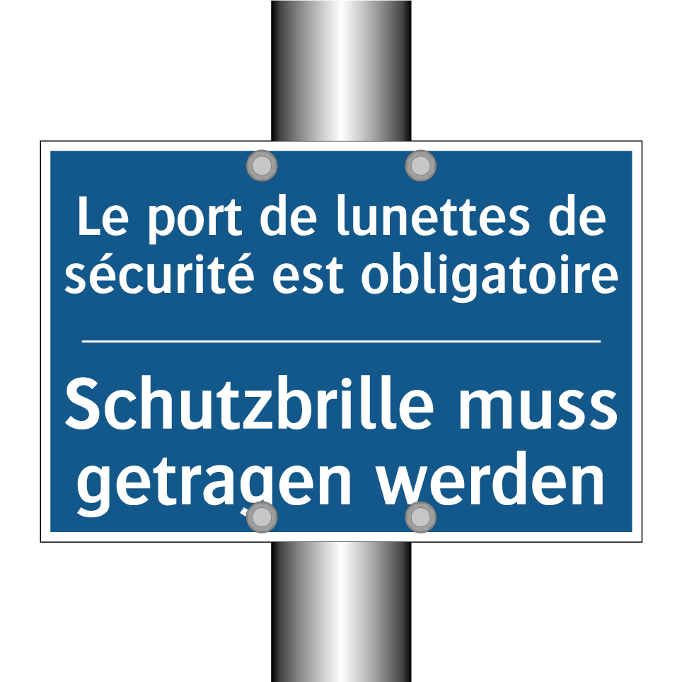 Schutzbrille muss getragen werden /.../ - Le port de lunettes de sécurité  /.../