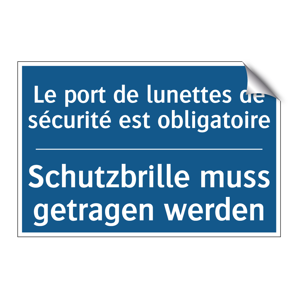 Schutzbrille muss getragen werden /.../ - Le port de lunettes de sécurité  /.../