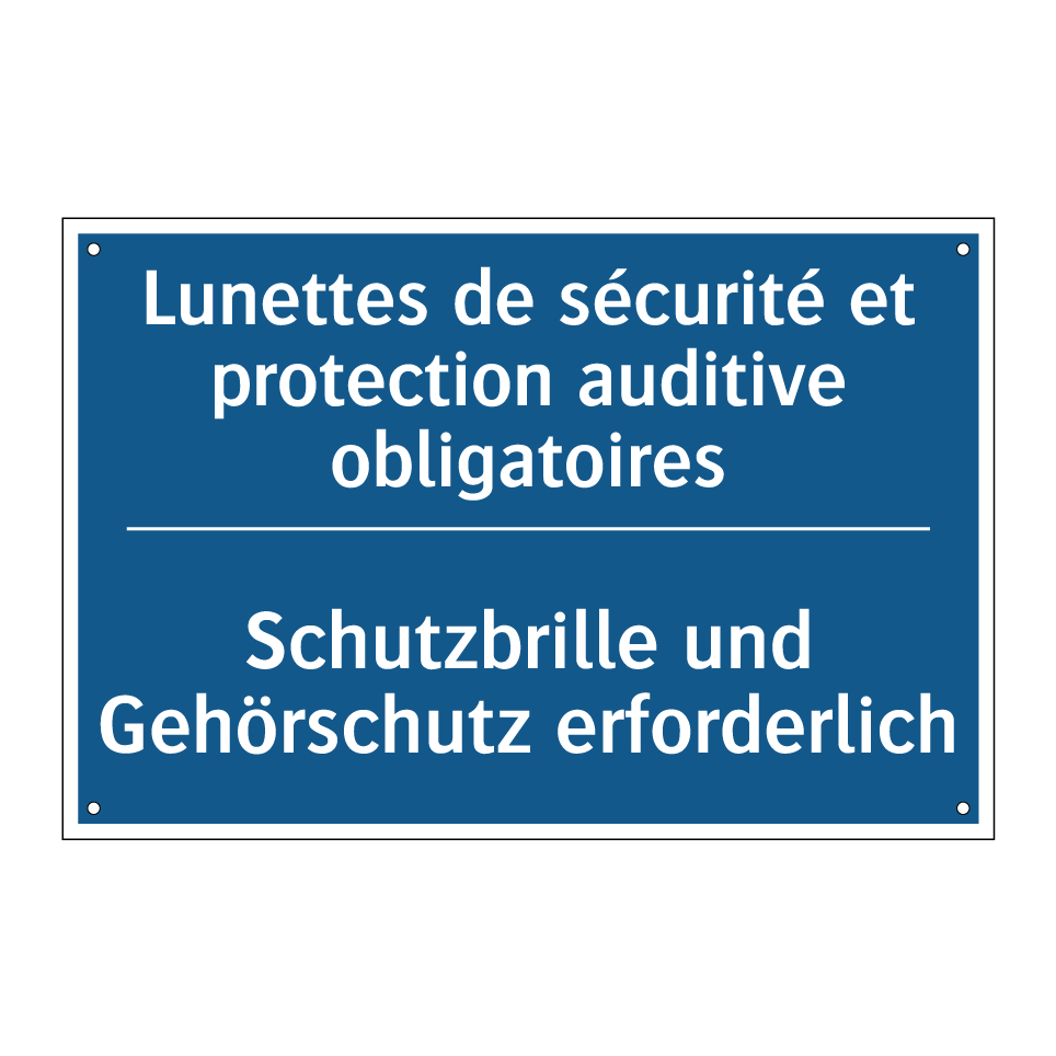Schutzbrille und Gehörschutz erforderlich /.../ - Lunettes de sécurité et protection  /.../