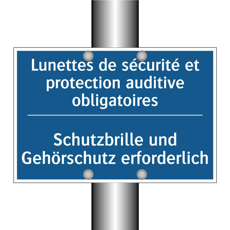 Schutzbrille und Gehörschutz erforderlich /.../ - Lunettes de sécurité et protection  /.../