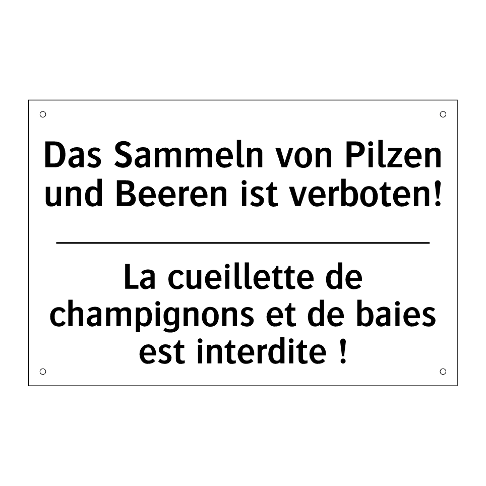 Das Sammeln von Pilzen und Beeren /.../ - La cueillette de champignons et /.../