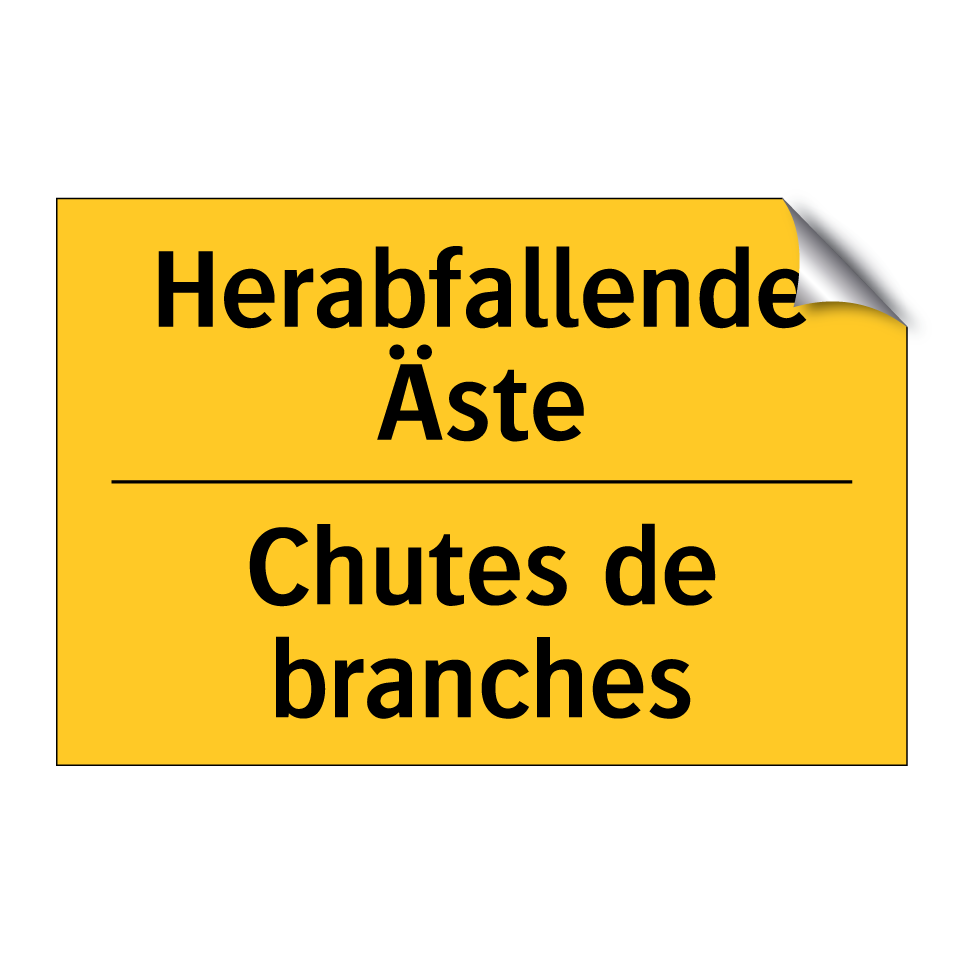 Herabfallende Äste - Chutes de branches
