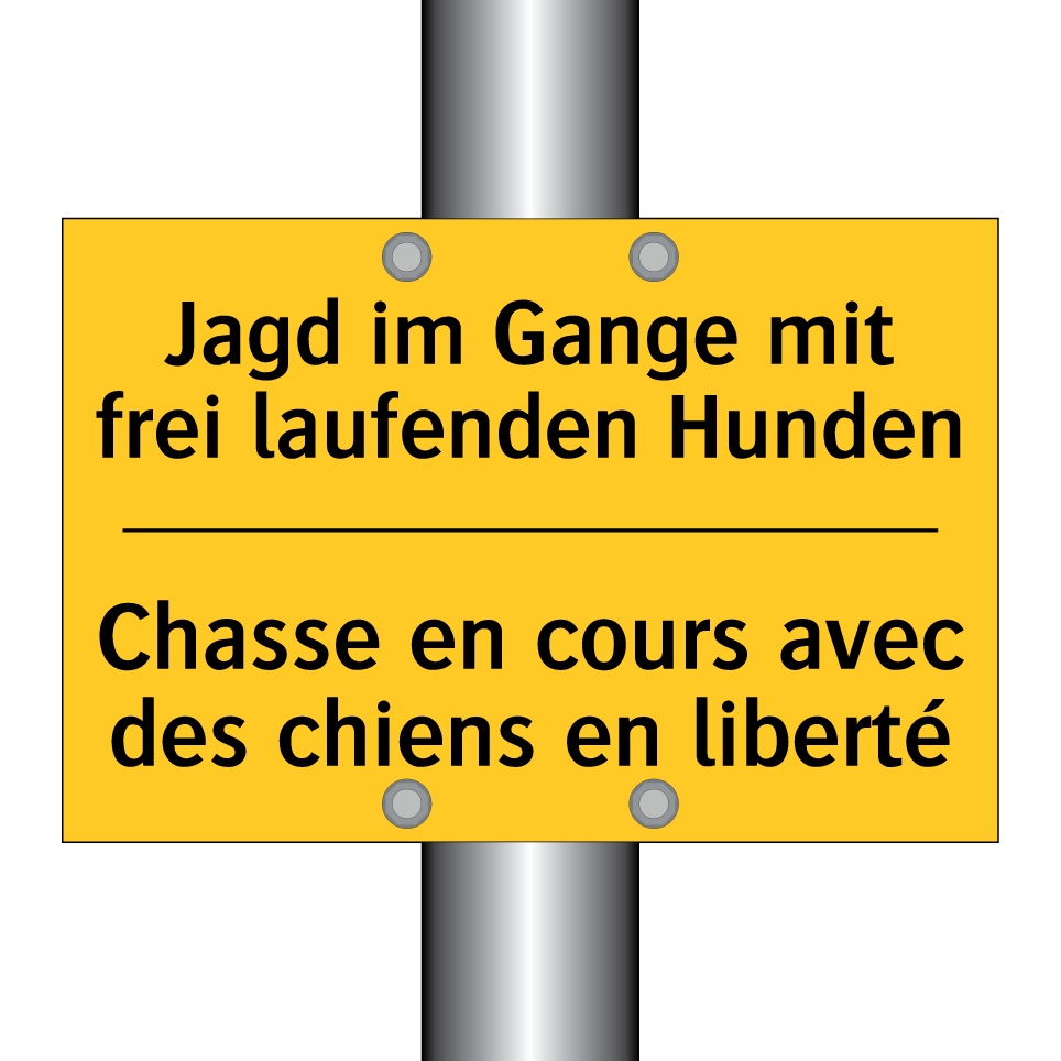 Jagd im Gange mit frei laufenden  /.../ - Chasse en cours avec des chiens  /.../