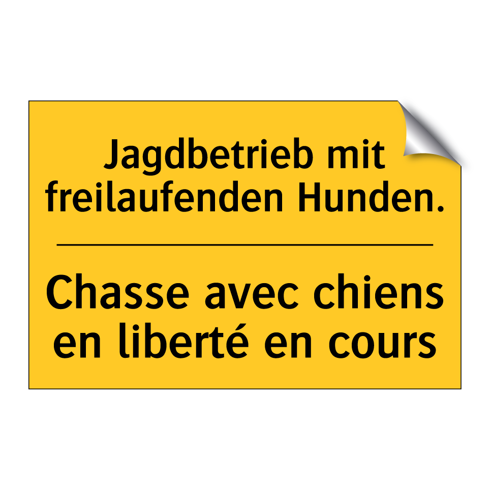 Jagdbetrieb mit freilaufenden  /.../ - Chasse avec chiens en liberté  /.../