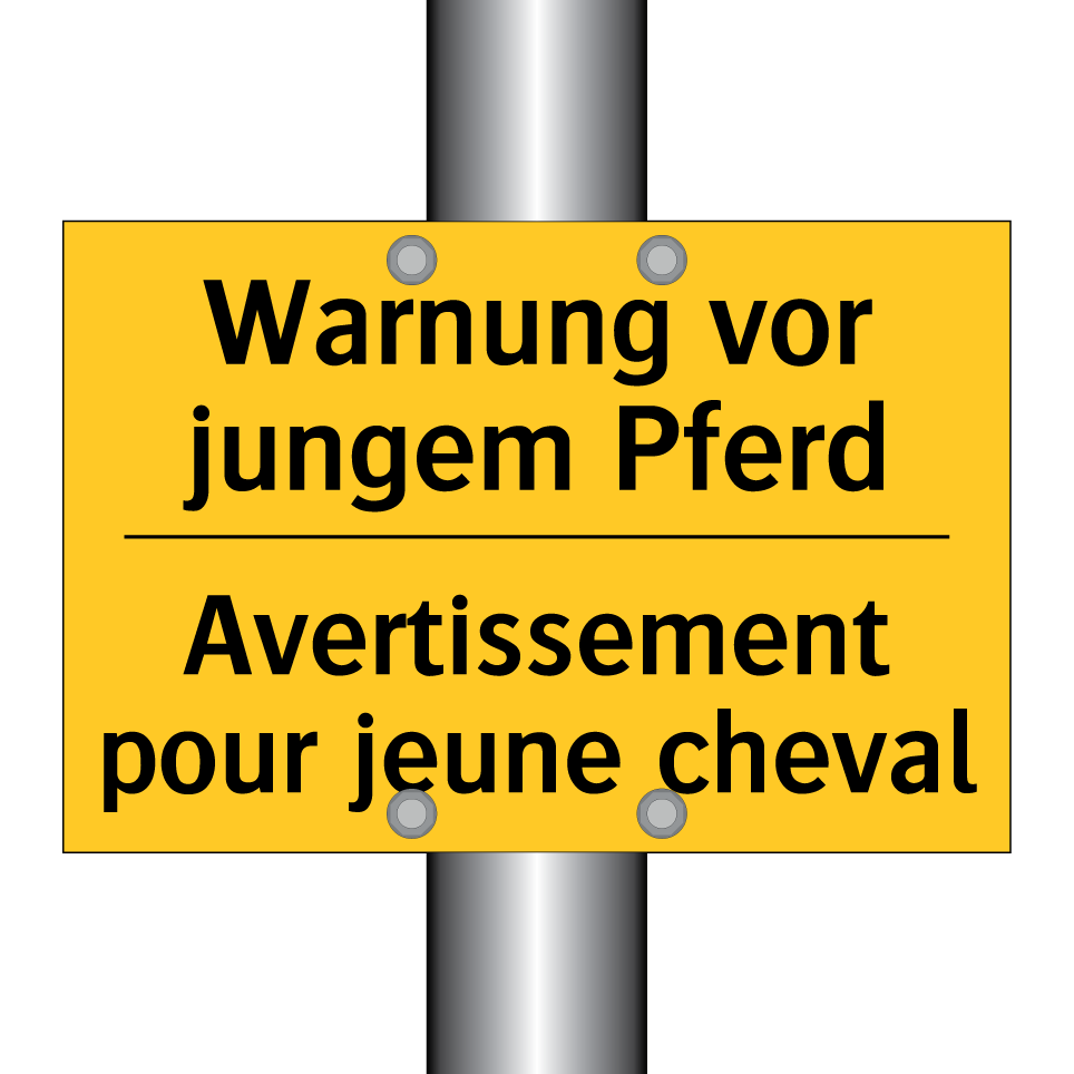Warnung vor jungem Pferd - Avertissement pour jeune cheval /.../