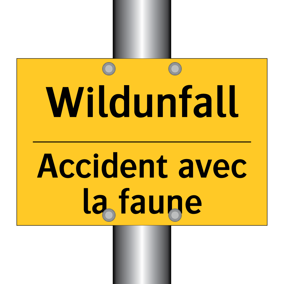 Wildunfall - Accident avec la faune