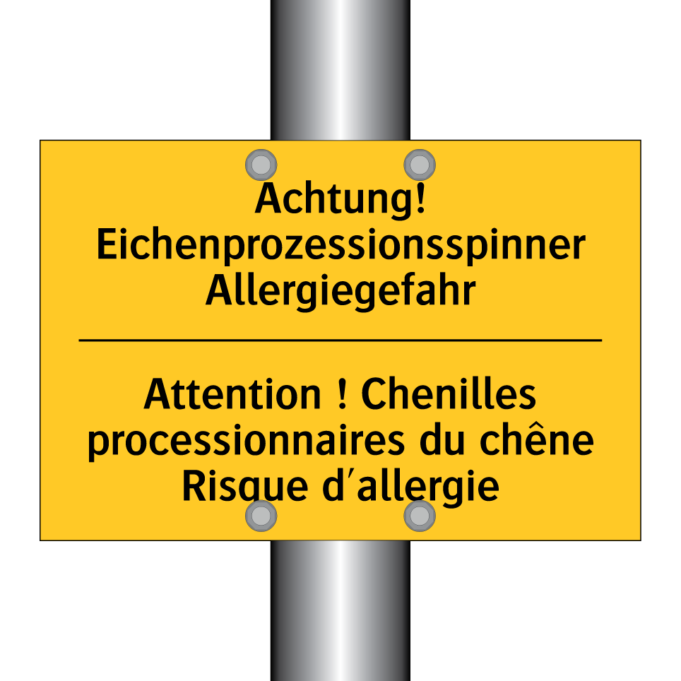 Achtung! Eichenprozessionsspinner  /.../ - Attention ! Chenilles processionnaires  /.../