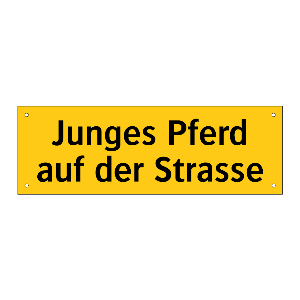 Junges Pferd auf der Strasse
