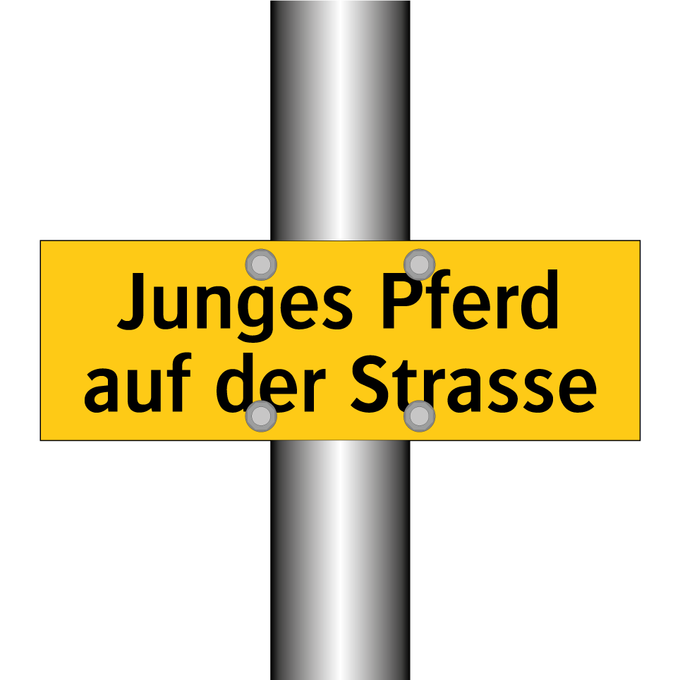 Junges Pferd auf der Strasse