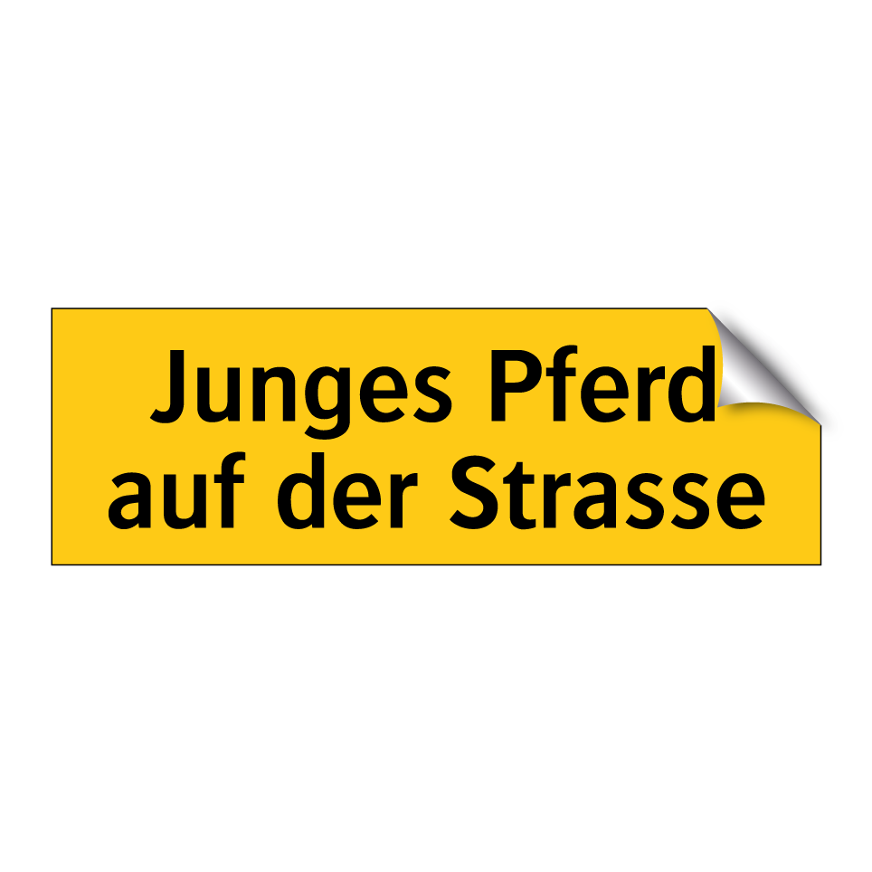 Junges Pferd auf der Strasse