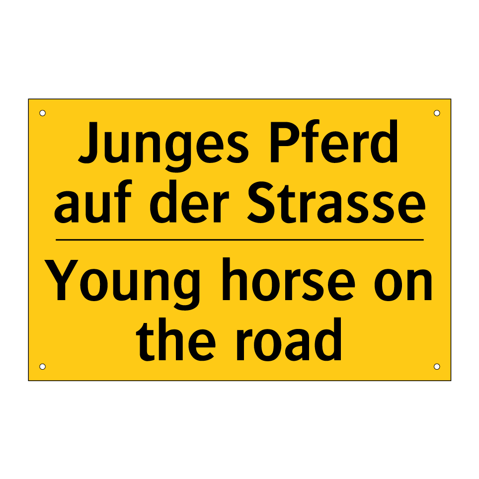 Junges Pferd auf der Strasse - Young horse on the road