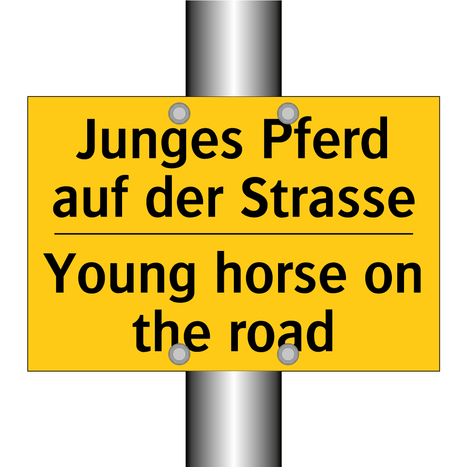 Junges Pferd auf der Strasse - Young horse on the road