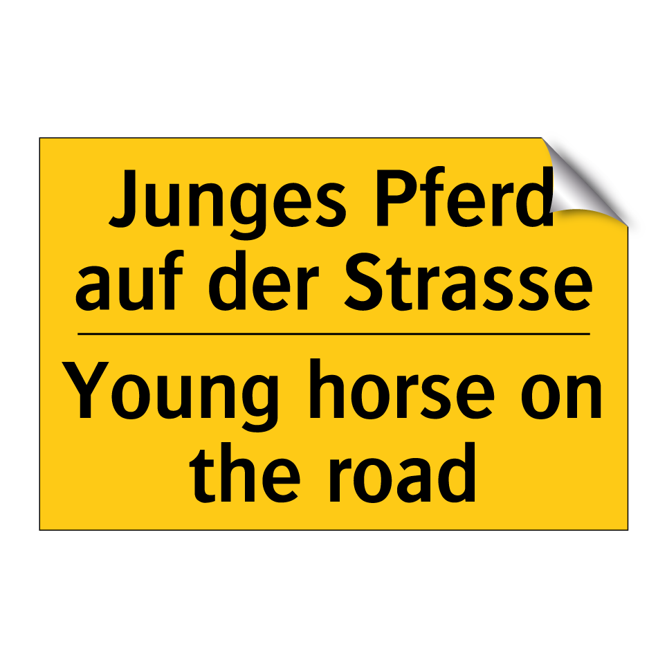 Junges Pferd auf der Strasse - Young horse on the road
