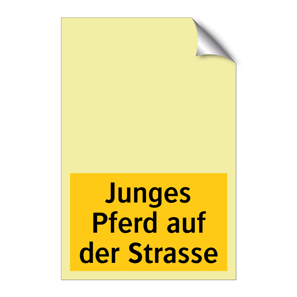Junges Pferd auf der Strasse
