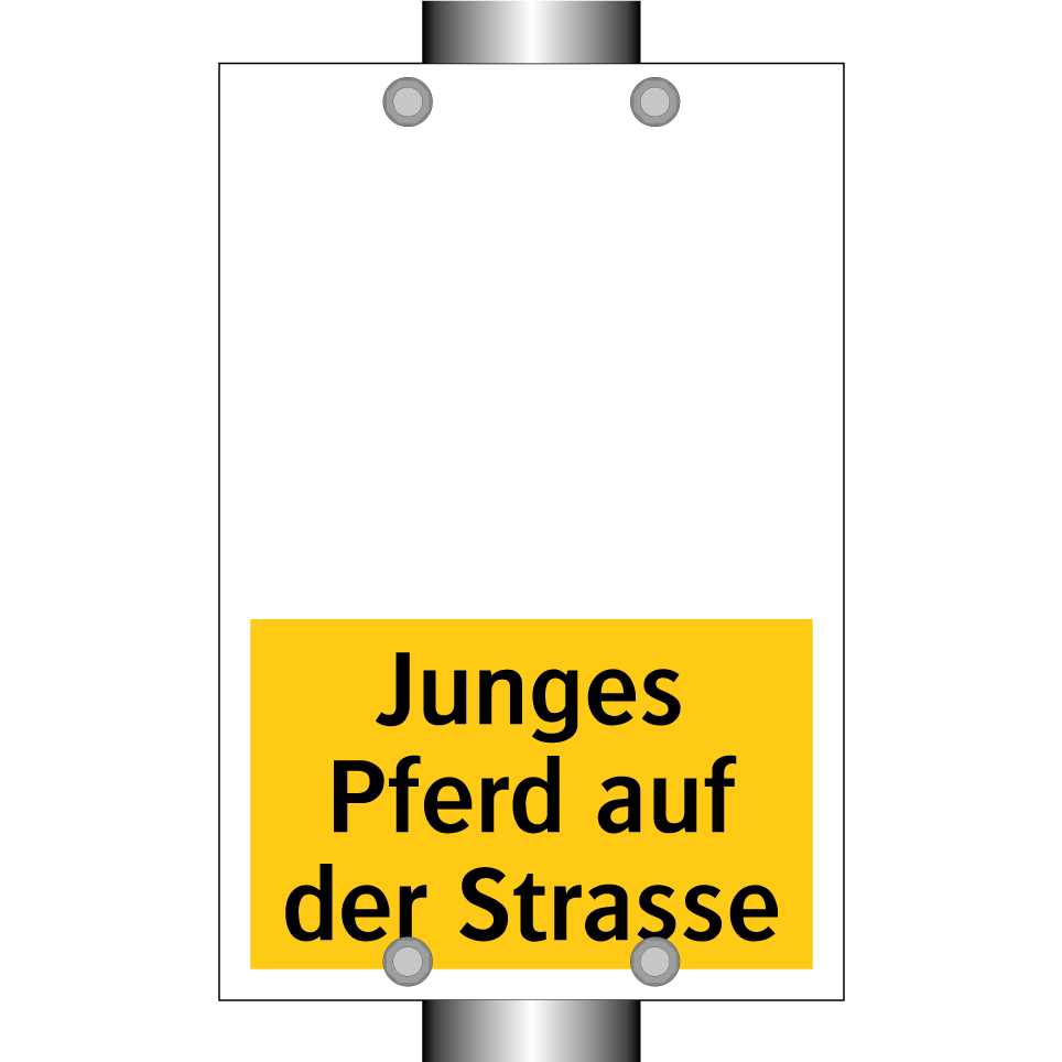 Junges Pferd auf der Strasse