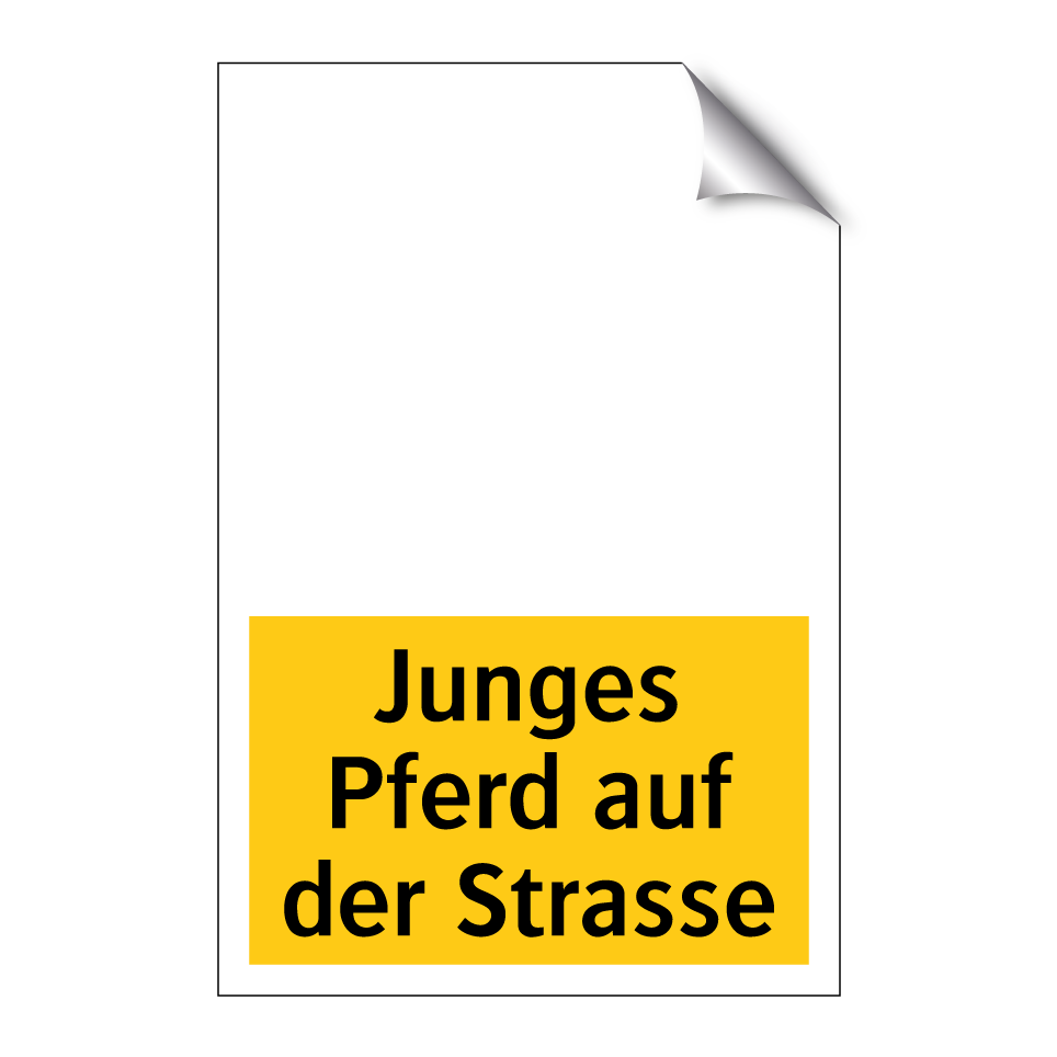 Junges Pferd auf der Strasse