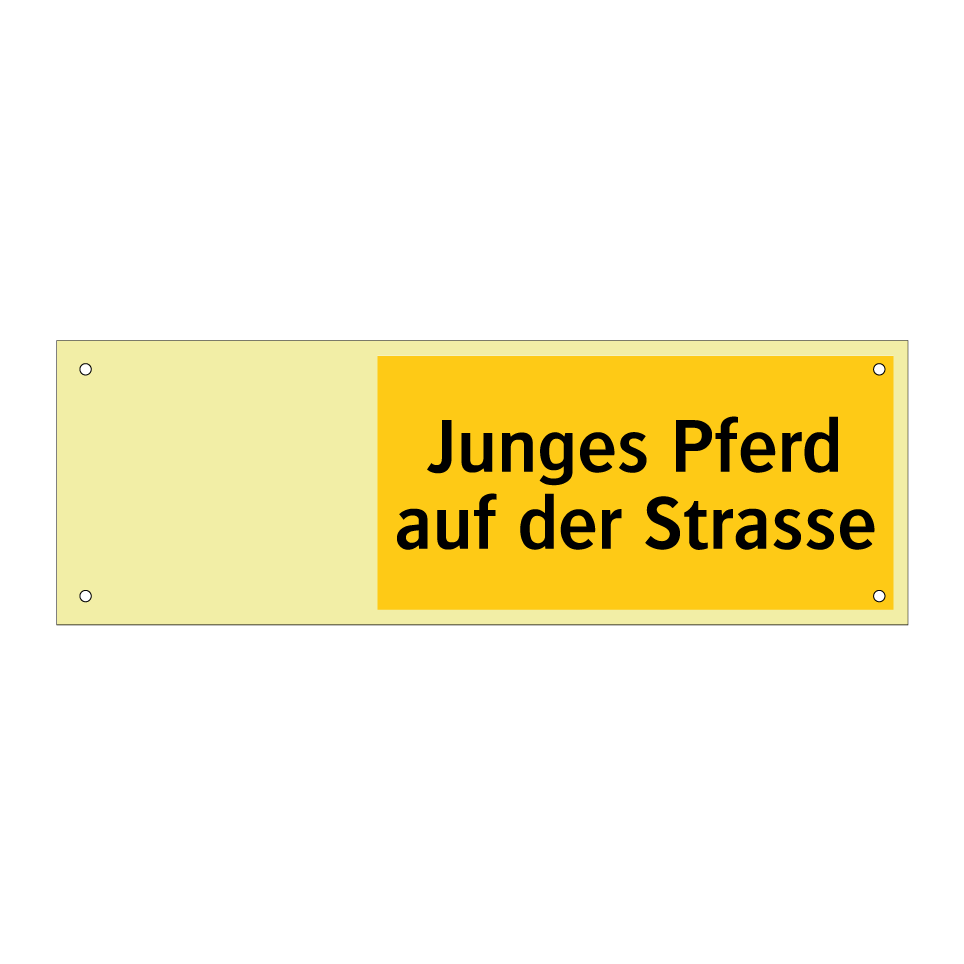 Junges Pferd auf der Strasse