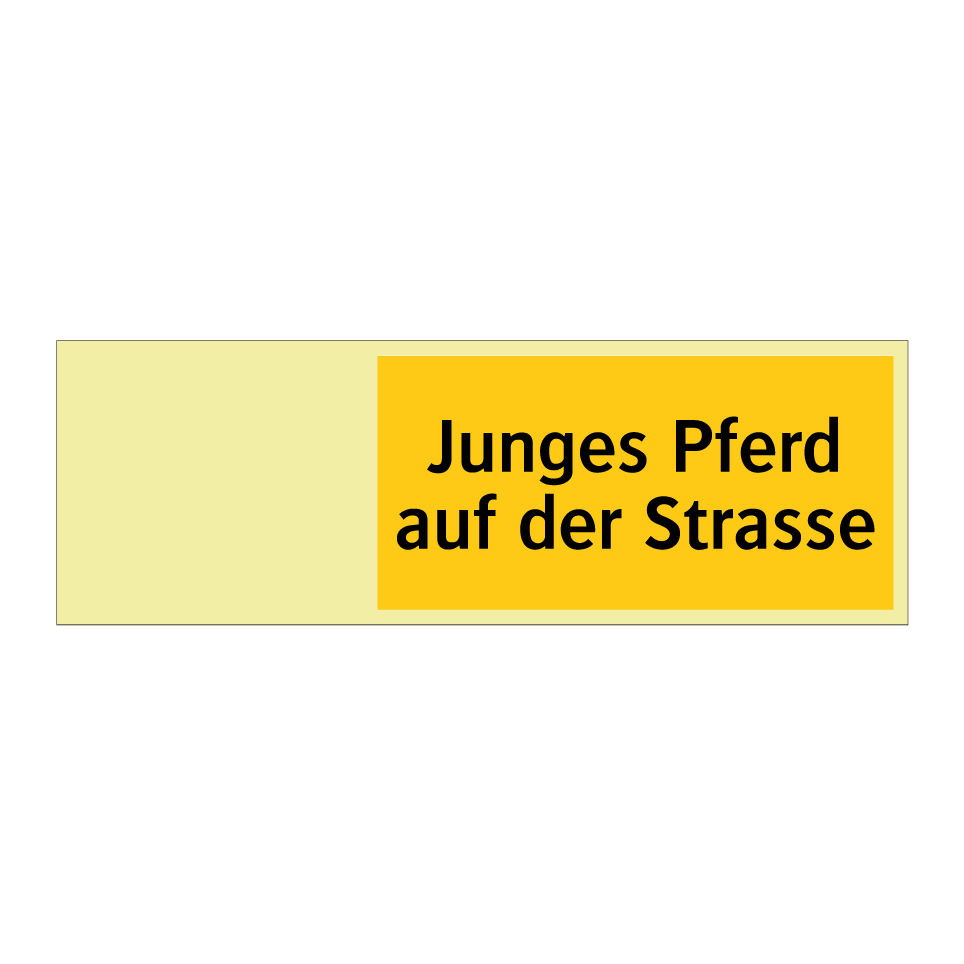 Junges Pferd auf der Strasse