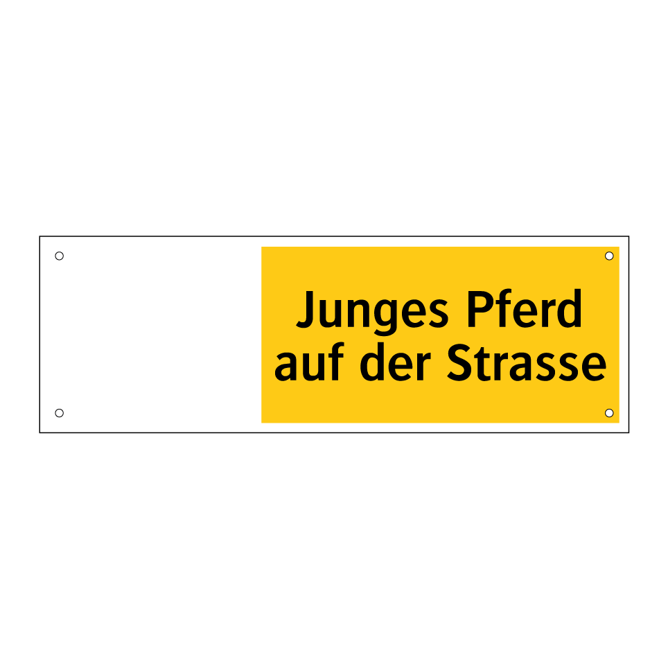 Junges Pferd auf der Strasse