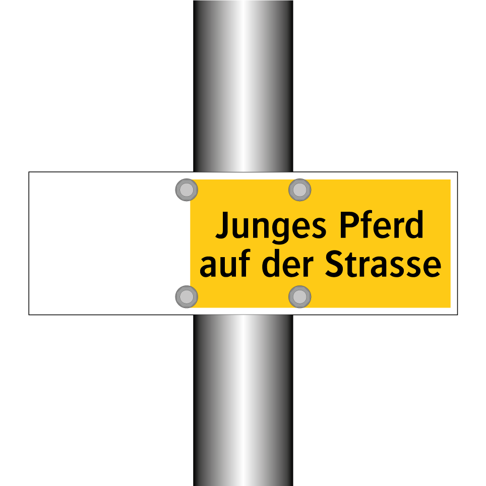 Junges Pferd auf der Strasse