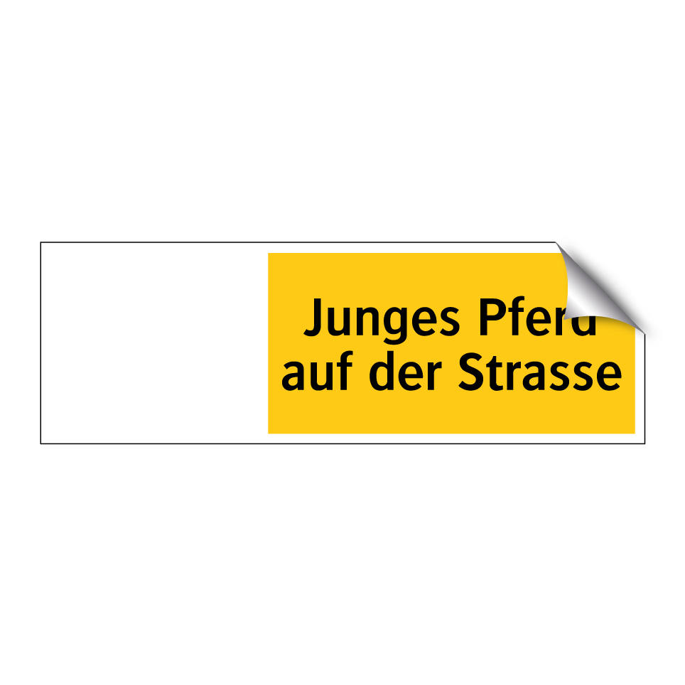 Junges Pferd auf der Strasse