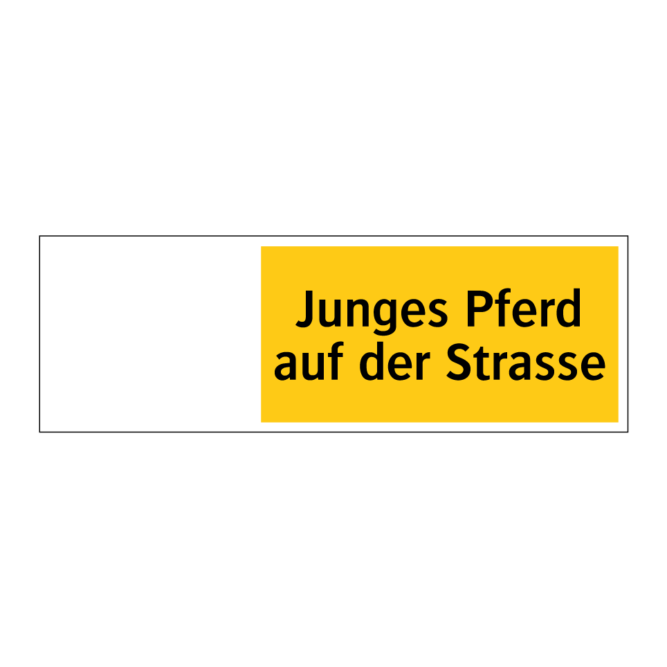 Junges Pferd auf der Strasse