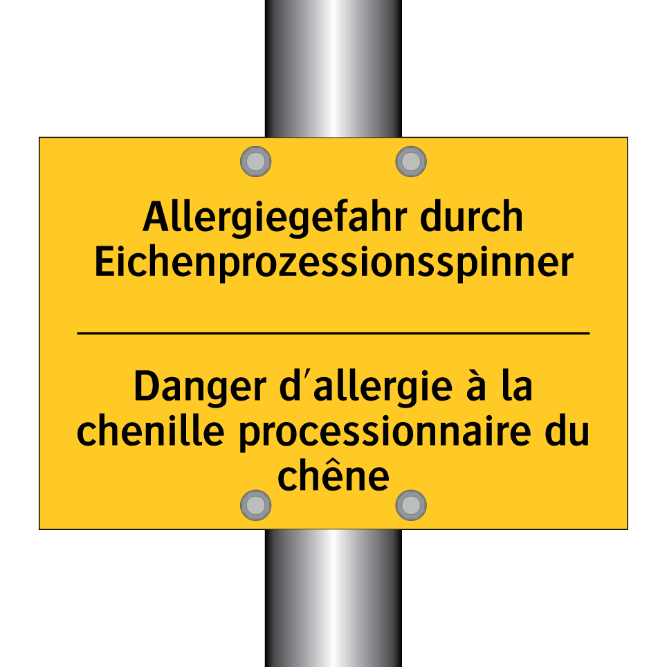 Allergiegefahr durch Eichenprozessionsspinner /.../ - Danger d'allergie à la chenille  /.../