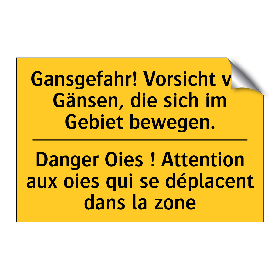 Gansgefahr! Vorsicht vor Gänsen,  /.../ - Danger Oies ! Attention aux oies  /.../