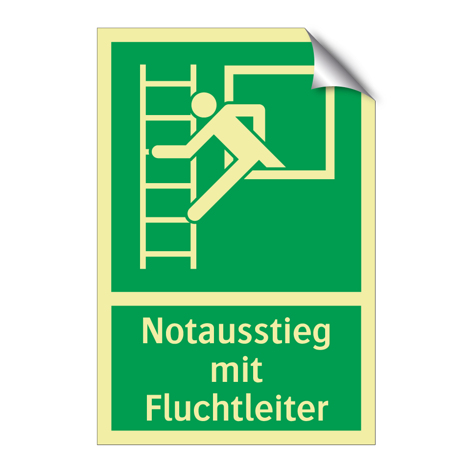 Notausstieg mit Fluchtleiter