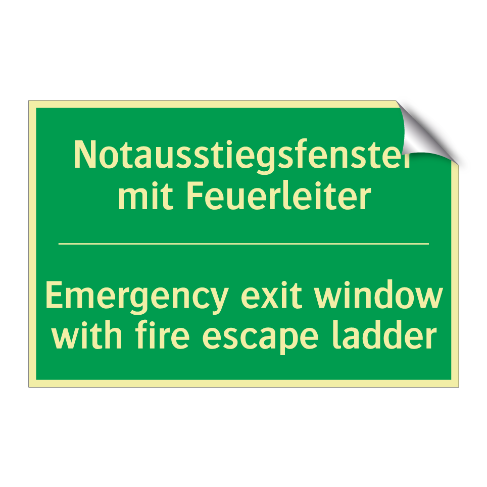 Notausstiegsfenster mit Feuerleiter /.../ - Emergency exit window with fire /.../