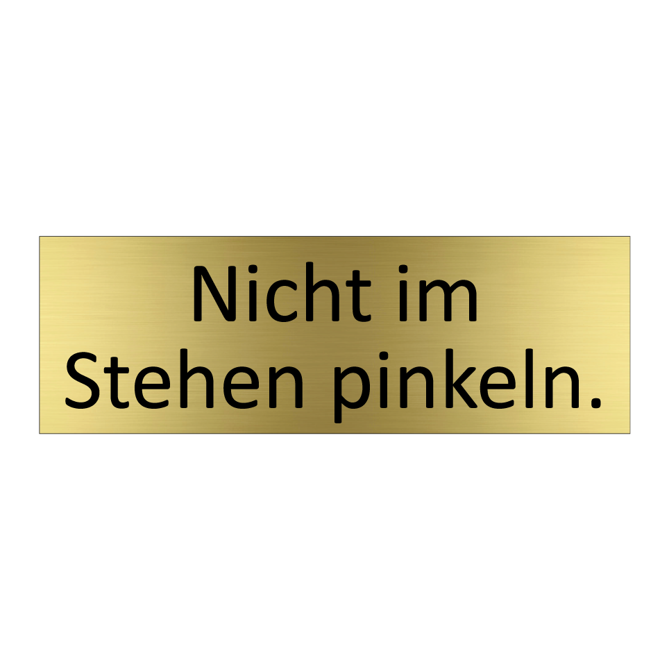 Nicht im Stehen pinkeln.