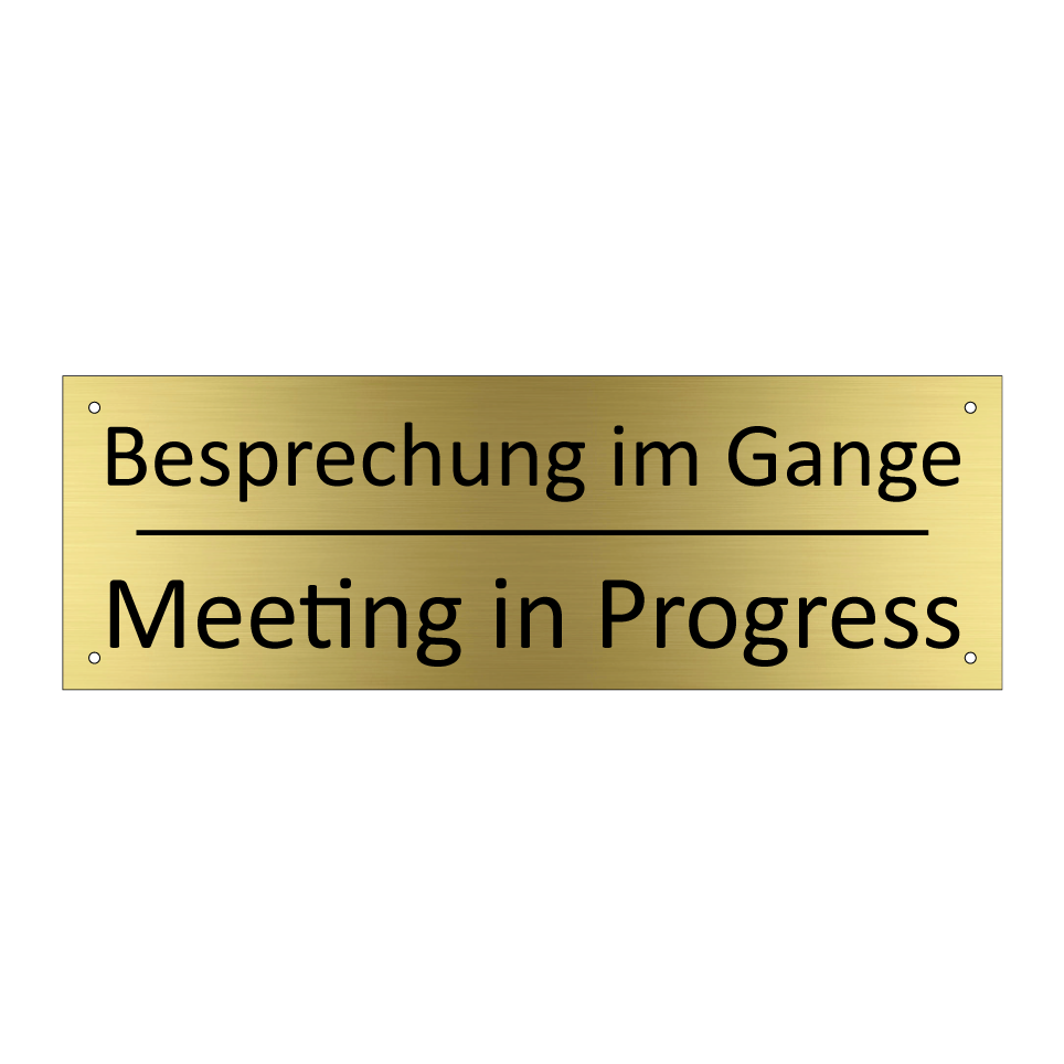 Besprechung im Gange - Meeting in Progress
